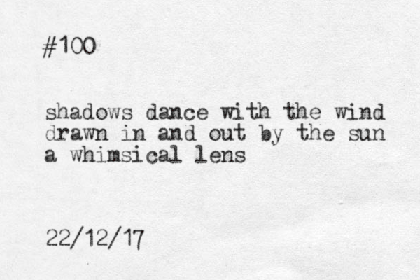 #100 shadows dance with the wind drawn in and out by the sun a whimsical lens 22/12/17