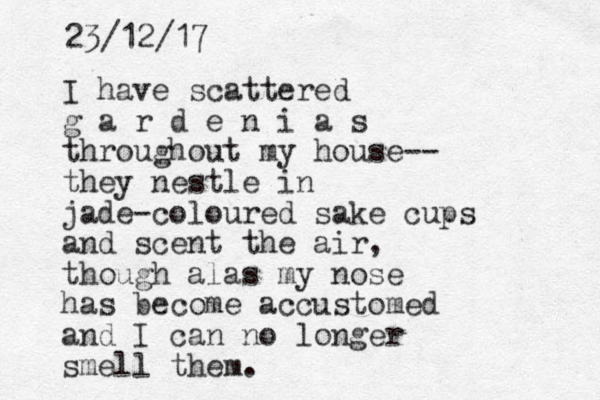 I have scattered g a r d e n i a s throughout my house-- they nestle in jade-coloured sake cups and scent the air, though alas my nose has become accustomed and I can no longer smell them. 23/12/17