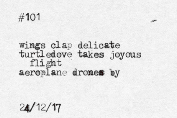 #101 wings clap delicate turtledove takes joyous flight aeroplane drones by 24/12/17
