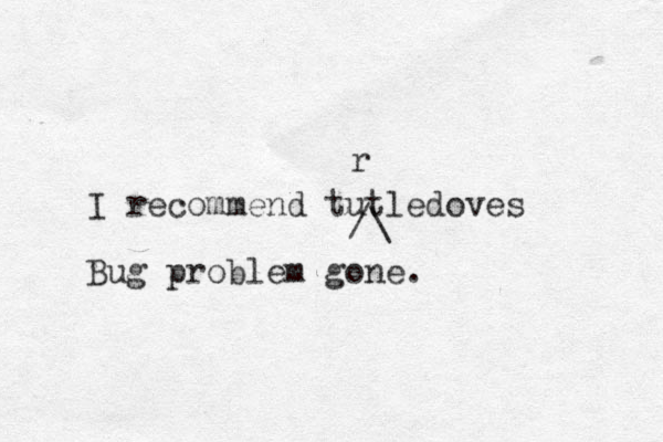 I recommend tutledoves Bug problem gone. r /\ 
