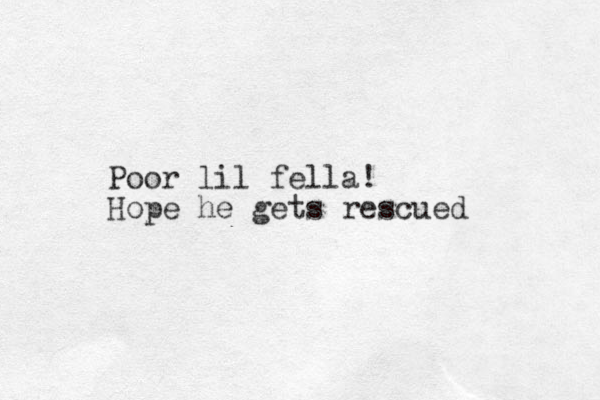 Poor lil fella! Hope he gets rescued