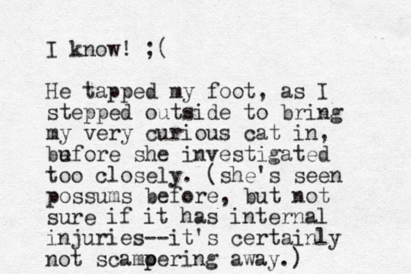 I know! ;( He tapped my foot, as I stepped outside to bring my very curious cat in, bu efore she investigated too closely. (she's seen possums before , but not sure if it has internal injuries--it's certainly not scamoering p p away.)