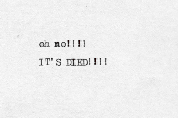 oh no!!!! IT'S DIED!!!!