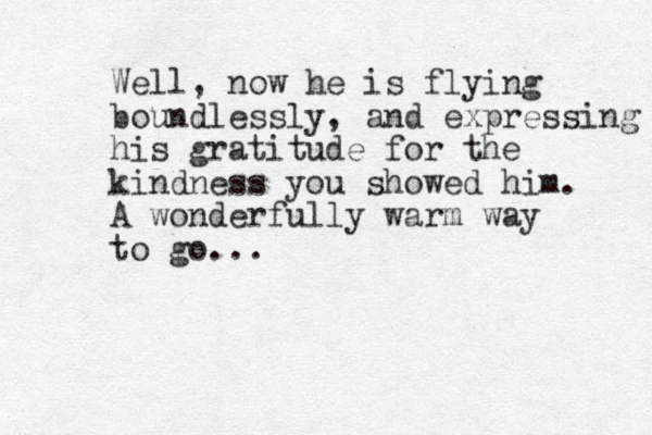 Well, now he is flying boundlessly, and expressing his gratitude for the kindness you showed him. A wonderfully warm way to go...