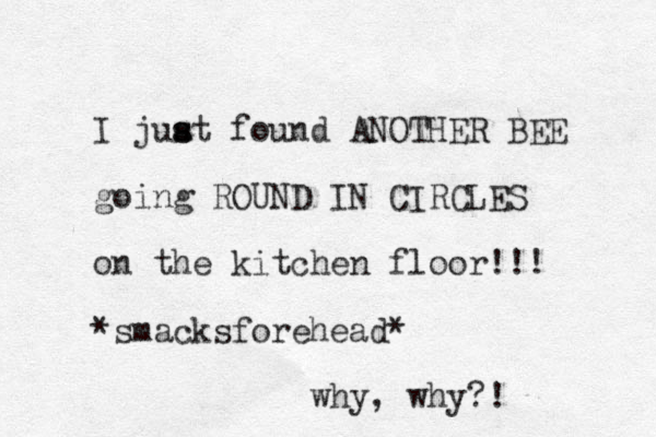 I juat s s found ANOTHER BEE going ROUND IN CIRCLES on the kitchen floor!!! *smacksforehead* why, why?!