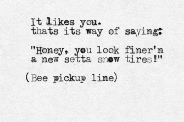 It likes you. thats its way of saying: "Honey, you look finer'n a new setta snow tires!" Bee pickup line) ( 