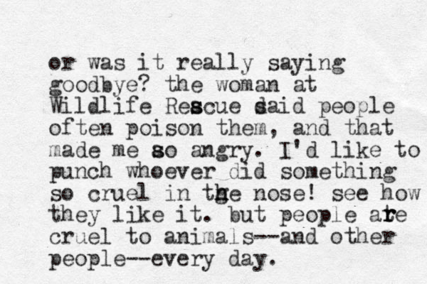 or was it really saying goodbye? the woman at Wildlife Reacue s s d said people often poison them, and that made me ao angry. s s I'd like to punch whoever did something so cruel in tge n h h nose! see how they like it. but people ate cruel to animals--and other people--every day. r r r 