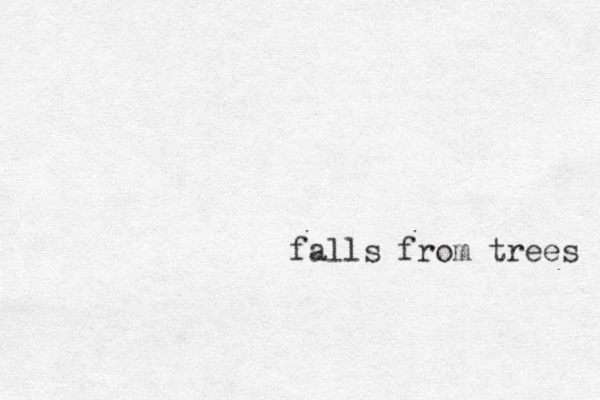 falls from trees 