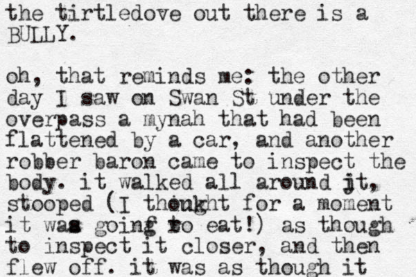 the tirtledove out there is a BULLY. oh, that reminds me: the other day I saw on Swan St under the overpass a mynah that had been flattened by a car, and another robber baron came to inspect the body. it walked all around jt i i , stooped (I think ought for a moment it waa s s goinf r g t o eat!) as though to inspect it closer, and then flew off. it was as though it 