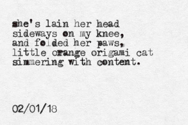 she's lain her head sideways on my knee, and folded her paws, little orange origami cat simmering with content. 02/01/18