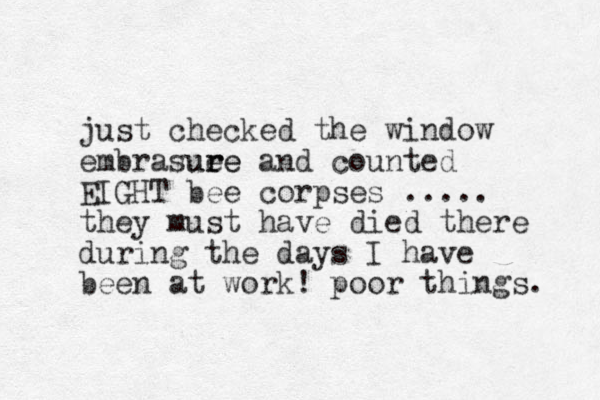 just checked the window embrasuee and r r u e counted EIGHT bee corpses ..... they must have died there during the days I have been at work! poor things. 