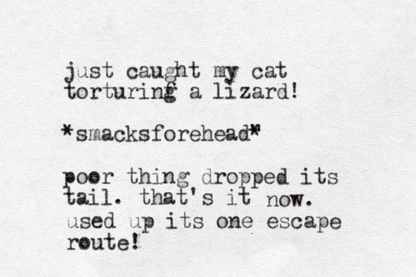 just caught my cat torturinf g a lizard! *smacks forehead" * poor thing dropped its tail. that's it now. used up its one escape route! 