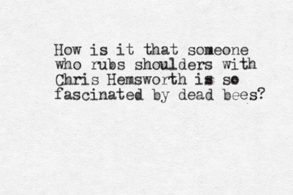 How is it that someone who rubs shoulders with Chris Hemsworth is so fascinated by dead bees? 