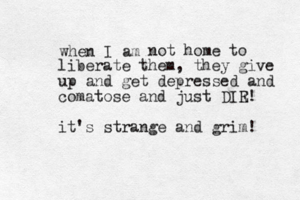when I am not home to liberate them, they give up and get depressed and comatose and just DIR E ! it's strange and grim! 