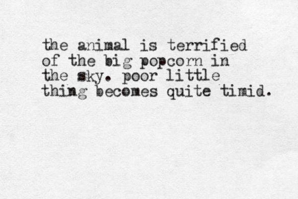 the animal is terrified of the big popcorn in the sky. poor little thing becomes quite timid. 