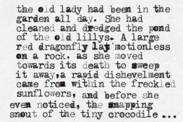 the old lady had been in the garden all day. She had cleaned and dredged the pond of the old lillys. A large red dragonfly lat y motionless on a rock. as she moved towards its death to sweep it away a rapid dishevelment came from within th e freckled sunflowers, , and before she even noticed, the s napping snout of the tiny crocodile ... 