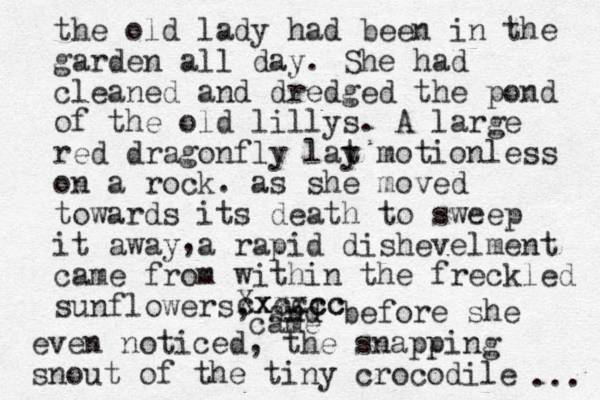 the old lady had been in the garden all day. She had cleaned and dredged the pond of the old lillys. A large red dragonfly lat y motionless on a rock. as she moved towards its death to sweep it away a rapid dishevelment came from within th e freckled sunflowers, , and before she even noticed, the s napping snout of the tiny crocodile ... c Xxcccc xxxcc came 