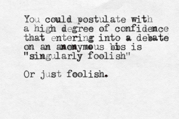 You could postulate with a high degree of confidence that entering into a debate on an anonymous bi bs is "singularly foolish" Or just foolish.