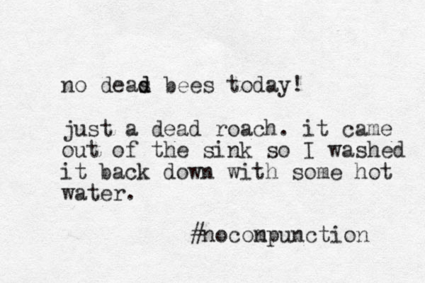 no deas d d bees today! just a dead roach. it came out of the sink so I washed it back down with some hot water. #noconpunction m 