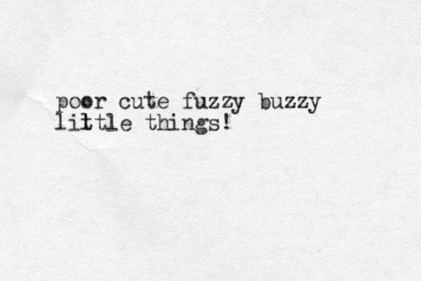 poor cute fuzzy buzzy lil ttle things!