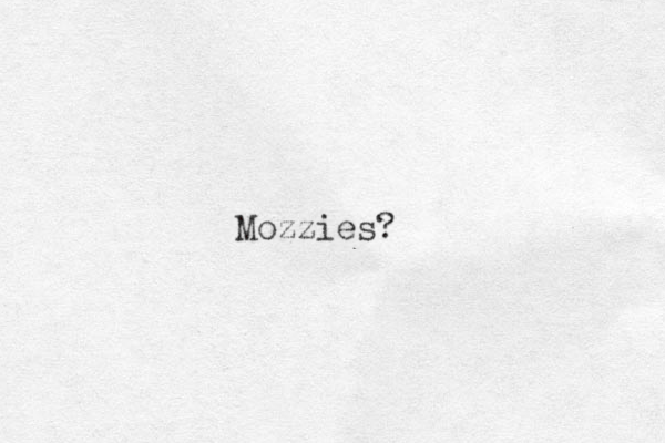 Mozzies?