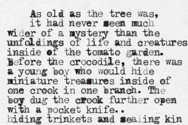 As old as the tree was, it had never seen much wider of a mystery than the unfoldings of life and creatures inside of the tomato garden. b Before the crocodile, there was a young boy who would hide miniature treasures inside of one crook in one branch. The boy dug the crook further open with a pocket knife.. hiding trinkets and sealing kin 