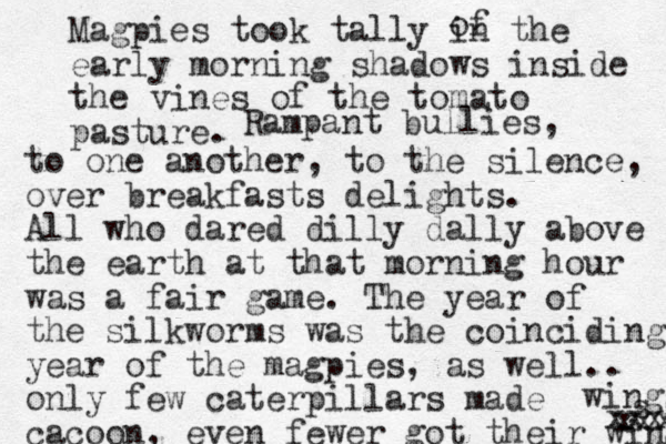 Magpies took tally in the early morning shadows inside the vines of the tomato pasture. of Rampant bullies, to one another, to the silence, over breakfasts delights. All who dared dilly dally above the earth at that morning hour was a fair game. The year of the silkworms was the coinciding year of the magpies, as well.. only few caterpillars made cacoon, even fewer got their wings wings s xxxc xxxx 