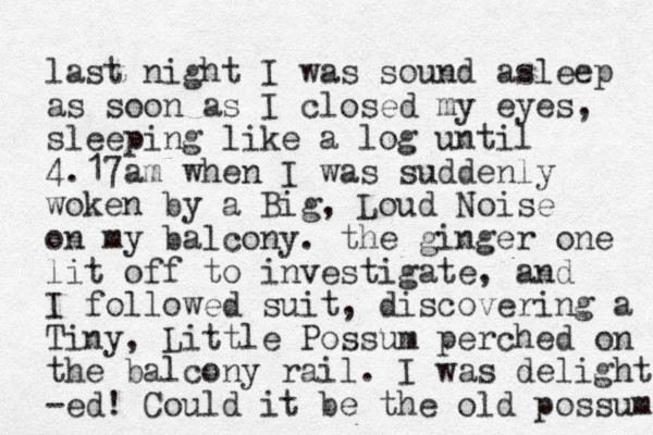 last night I was sound asleep as soon as I closed my eyes, sleeping like a log until 4.17am when I was suddenly woken by a Big, Loud Noise on my balcony. the ginger one lit off to investigate, and I followed suit, discovering a Tiny, Little Possum perched on the balcony rail. I was delight -ed! Could it be the old possum 
