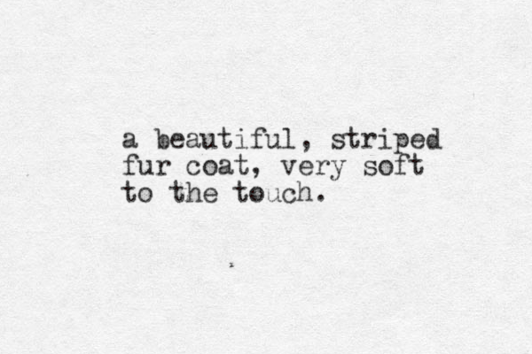 a beautiful, striped fur coat, very soft to the touch.