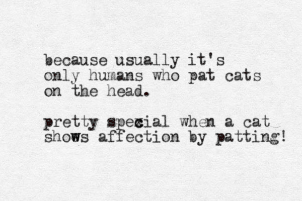 because usually it's only humans who pat cats on the head. pretty spexial c c when a cat shoe w ws affection by patting! 