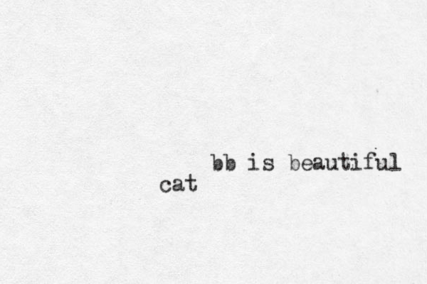 bb is beautiful cat