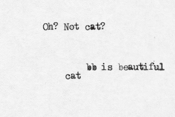 bb is beautiful cat Oh? Not cat?