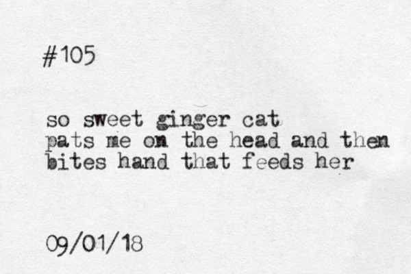 #105 so sweet ginger cat pats me on the head and then bites hand that feeds her 09/01/18 