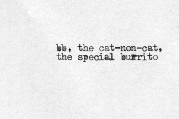 bb, the cat-non-cat, the special burrito 