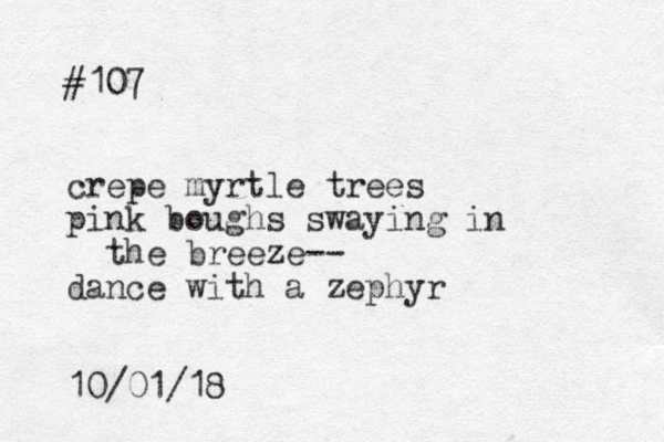 #107 crepe myrtle trees pink boughs swaying in the breeze-- dance with a zephyr 10/01/18