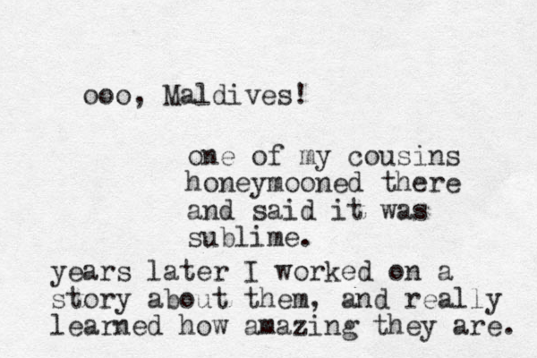 ooo, Maldives! one of my cousins honeymooned there and said it was sublime. years later I worked on a story about them, and really learned how amazing they are. 