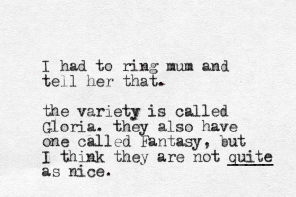 I had to ring mum and tell her that. the variety is called Gloria. they also have one called Fantasy, but I think they are not quite _____ as nice. 
