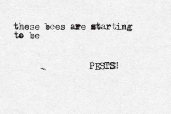 these bees are starting to be PESTS!