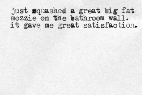 just squashed a great big fat mozzie on the bathroom wall. it gave me great satisfaction. 
