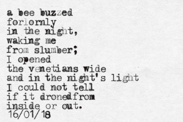 a bee buzzed forlornly in the night, waking me from slumber; I opened the venetians wide and in the night's light I could not tell if it drone from inside or out. 16/01/18 d 