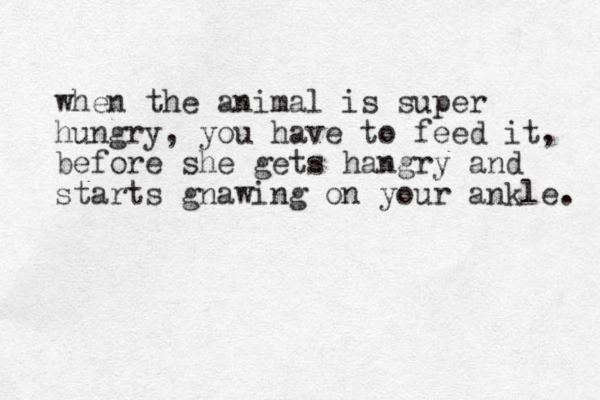when the animal is super hungry, you have to feed it, before she gets hangry and starts gnawing on your ankle. 
