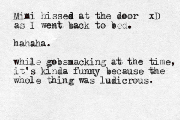 Mimi hisses d d at the door xD as I went back to bed. hahaha. while gobsmacking at the time, it's kinda funny because the whole thing was ludicrous. 
