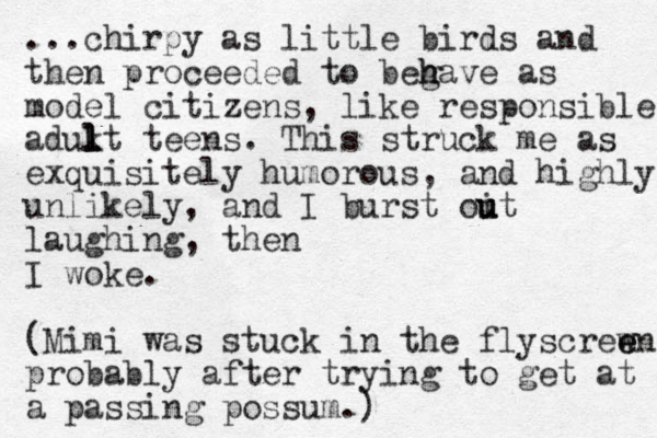 ...chirpy as little i b rds and then proceeded to beg h have as model citizens, like responsible adukt l l l teens. This struck me as exquisitely humorous, and highly unlikely, and I burst oit u u u laughing, then I woke. (Mimi was stuck in the flyscrew e en probably after trying to get at a passing possum.)