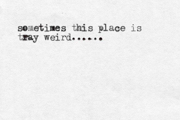 sometimes this place is tray weird......