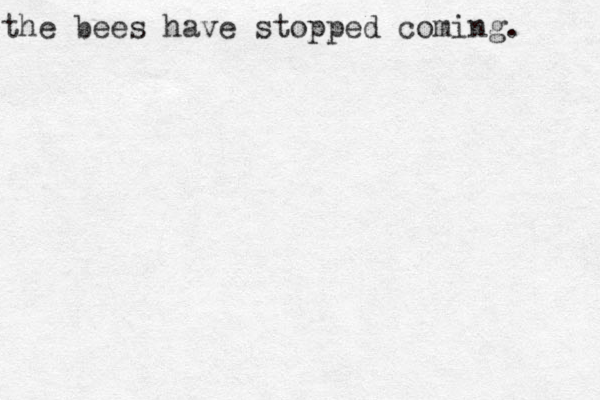 the bees have stopped coming. 