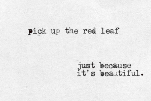 pick up the red leaf just because it's beautiful. 