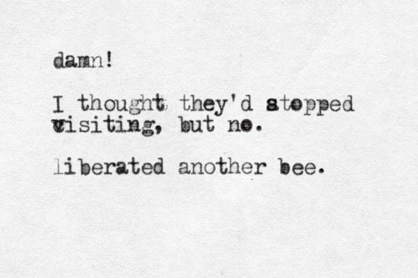damn! I thought they'd atopped c visiting, but no. liberated another bee. s
