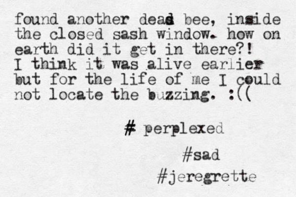 found another deas d d bee, inside the closed sash window. how on earth did it get in there?! I think it was alive earlier but for the life of me I could not locate the buzzing. :(( = # # p erplexed #sad #jeregrette 