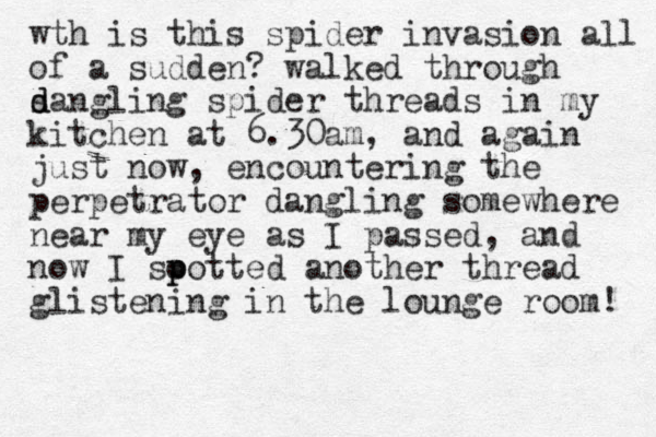 wth is this spider invasion all of a sudden? walked through s d dangling spider threads in my kitchen at 6.30am, and again just now, encountering the perpetrator dangling somewhere near my eye as I passed, and now I soot p p ted a nother thread glistening in the lounge room! 