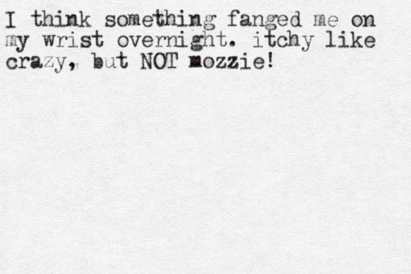 I think something fanged me on my wrist overnight. itchy like crazy , but NOT mozzie! 